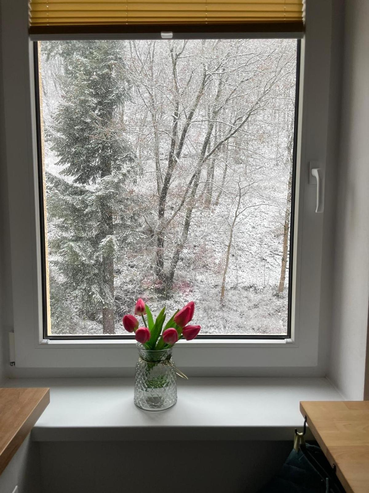 Apartman Claudia - Rezidence K Lanovce Jáchymov Kültér fotó